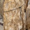 Grafsteen versteend hout 57154