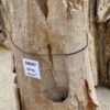 Lápida madera petrificada 56047