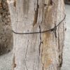 Lápida madera petrificada 56047