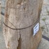 Lápida madera petrificada 56047