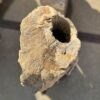 Lápida madera petrificada 56056