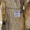Lápida madera petrificada 56065