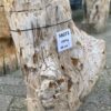 Lápida madera petrificada 56073