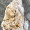 Lápida madera petrificada 56073