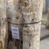 Lápida madera petrificada 56074