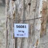 Lápida madera petrificada 56081