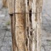 Lápida madera petrificada 56081