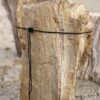 Lápida madera petrificada 56086