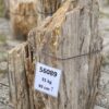 Lápida madera petrificada 56089