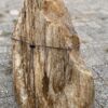 Lápida madera petrificada 56089