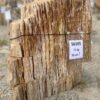 Lápida madera petrificada 56105