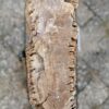 Lápida madera petrificada 56105