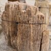 Lápida madera petrificada 56105