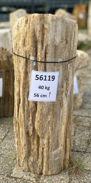 Lápida madera petrificada 56119