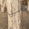 Lápida madera petrificada 57058