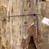 Lápida madera petrificada 57058
