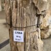 Lápida madera petrificada 57064