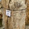 Lápida madera petrificada 57067