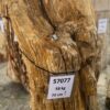 Lápida madera petrificada 57077