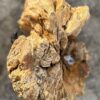 Lápida madera petrificada 57077