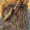 Lápida madera petrificada 57080