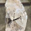 Lápida madera petrificada 57085