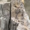 Lápida madera petrificada 57085