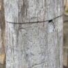 Lápida madera petrificada 57085