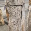Lápida madera petrificada 57092