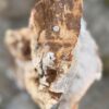 Lápida madera petrificada 57094
