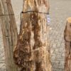 Lápida madera petrificada 57094