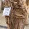 Lápida madera petrificada 57100