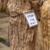 Lápida madera petrificada 57100