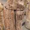 Lápida madera petrificada 57100