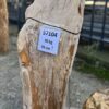 Lápida madera petrificada 57104