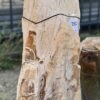 Lápida madera petrificada 57104