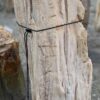 Lápida madera petrificada 57104