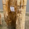 Lápida madera petrificada 57115