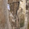 Lápida madera petrificada 57118