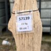 Lápida madera petrificada 57139