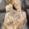 Lápida madera petrificada 57157