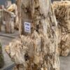Lápida madera petrificada 57360