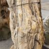 Lápida madera petrificada 57360