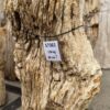 Lápida madera petrificada 57361