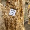 Lápida madera petrificada 57363