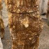 Lápida madera petrificada 57363
