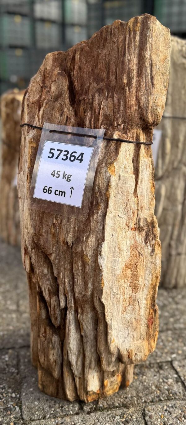 Lápida madera petrificada 57364