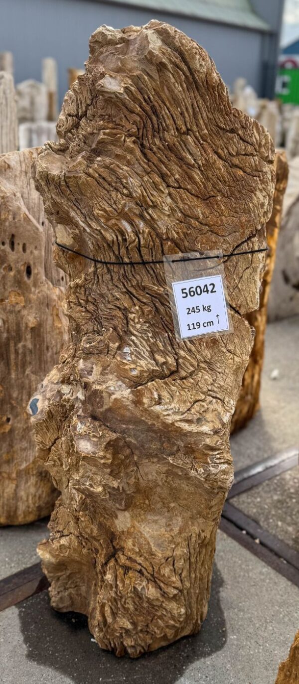 Memorial stone petrified wood 56042