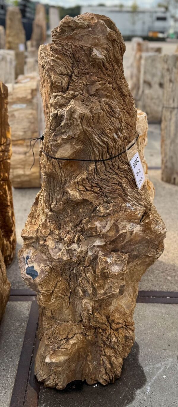 Memorial stone petrified wood 56042