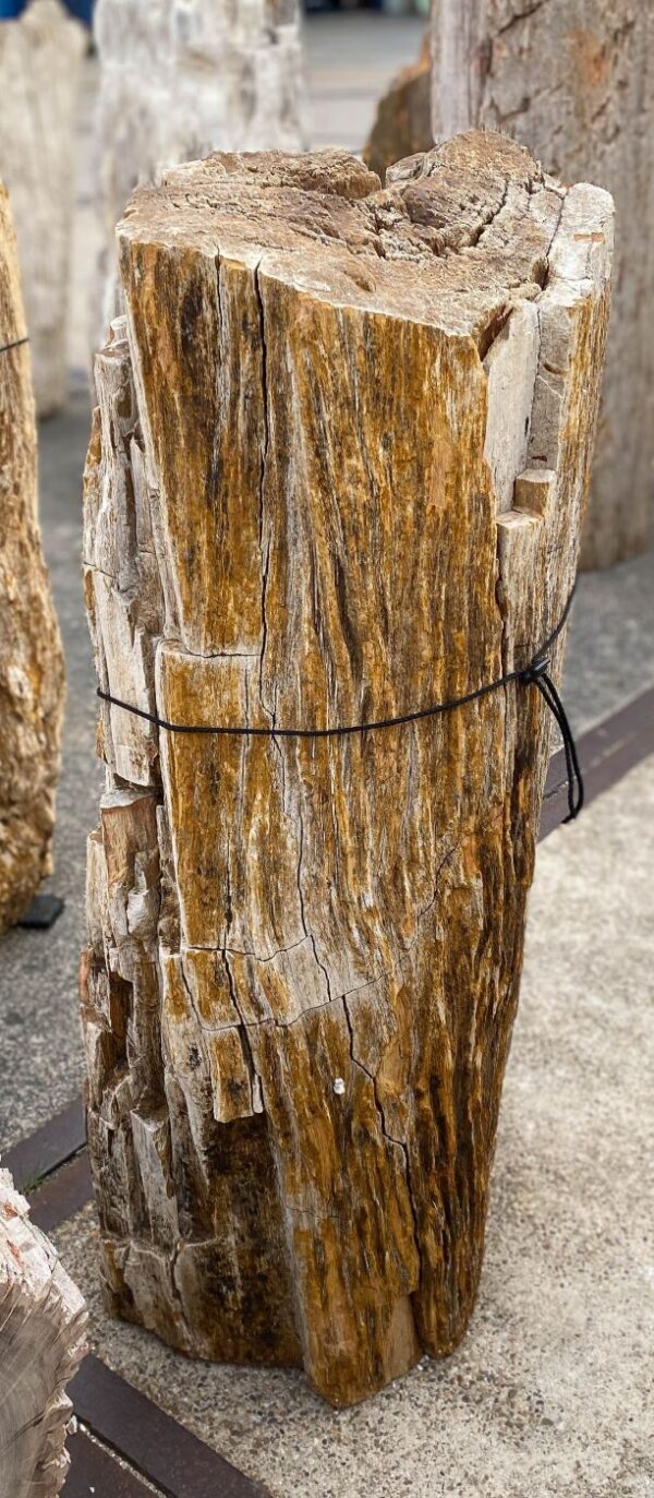 Memorial stone petrified wood 56046